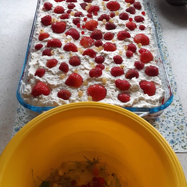 I made the OPENING CAKE with strawberies and white currant from my garden!