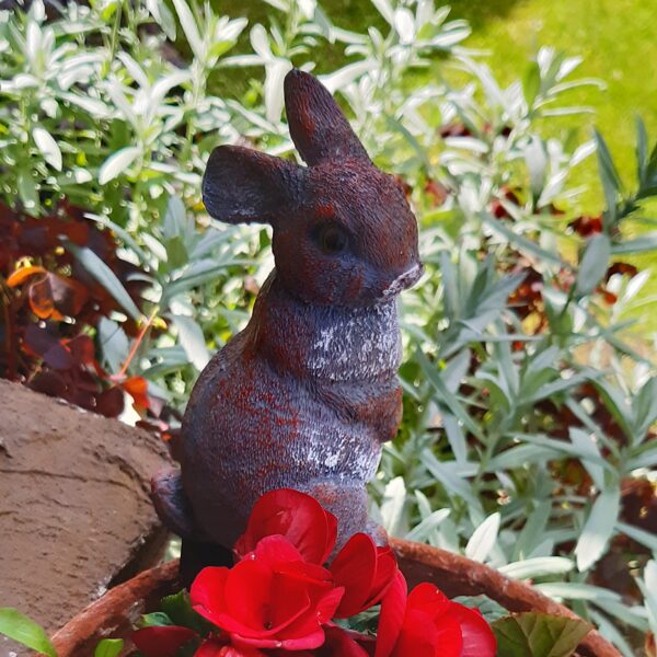 My garden tour!