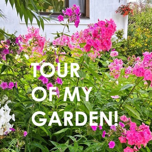 IN SPRING, SUMMER, AUTUMN! EVEN IN WINTER!