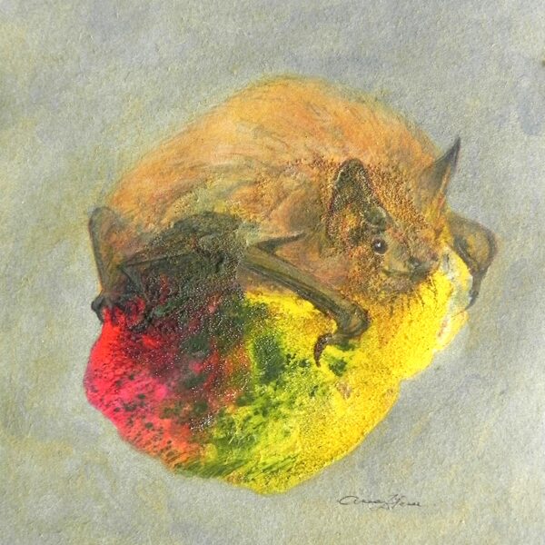 Natūza sikspārnis. Pipistrellus nathusii L. Monotipija, olas tempera, zelts. 14,5x10cm. 20