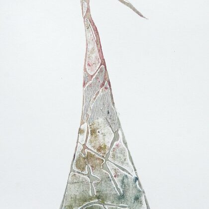 "Not a bird...". Colography. 2007