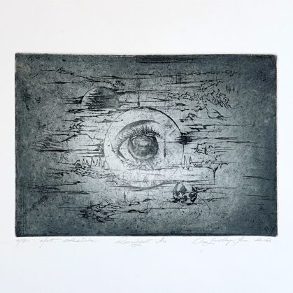 "The All-seeing Eye". Etching, aquatint. 31x22cm. 2016