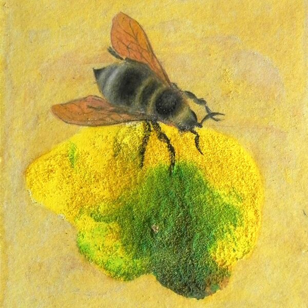 Bombus confusus L. Monotipia, egg tempera, gold. 14,5x9,8cm. 2024. 