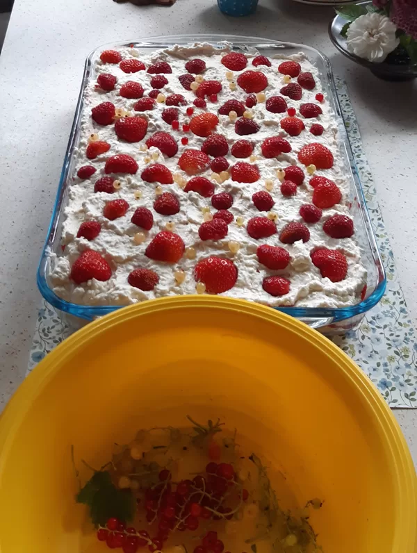 Uztaisīju ATKLĀŠANAS KŪKU ar zemenēm un jāņogām no mana dārza!