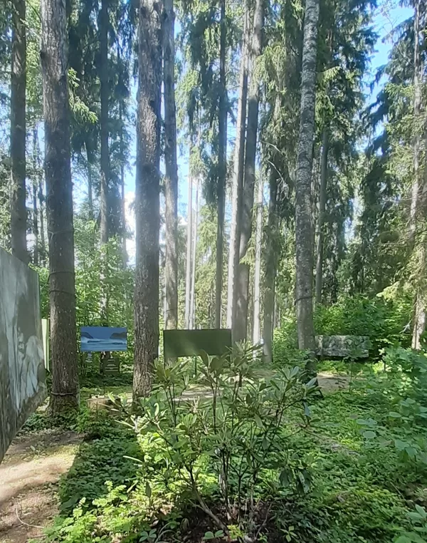 Valguma pasaule