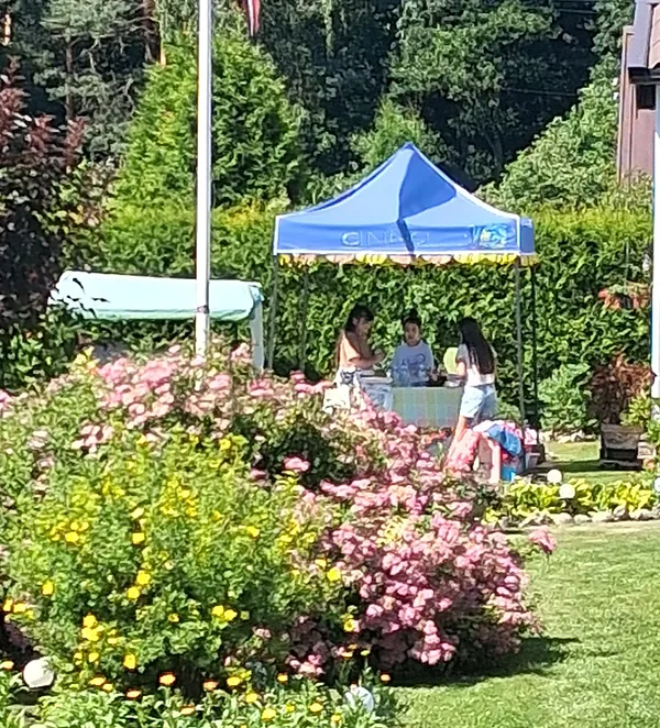 16.07.26. A festive table was set under my little blue tent!