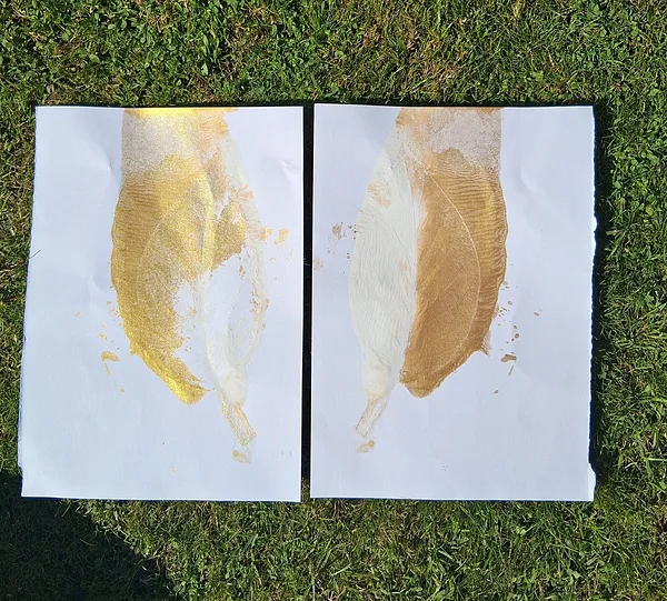 16.07.26. Flower leaves pressed with a large roller.