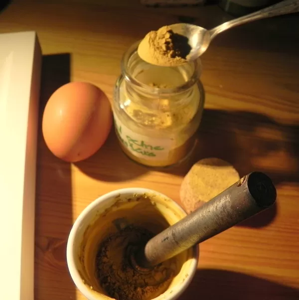 Dry pigments and egg yolk