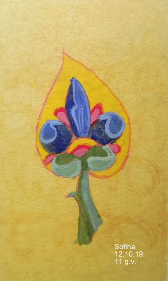 Sofina, 2019