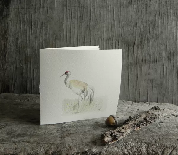 Dzērve (Grus grus (L.). 13,5x12,5cm. 2022
