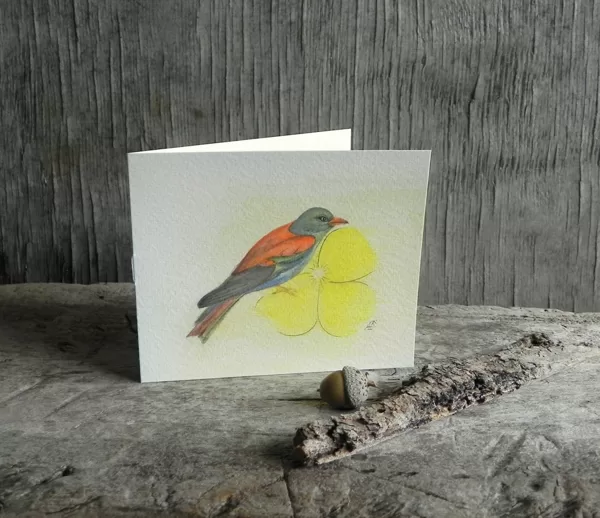 Zaļā vārna (Coracias garullus (L.). 13x11cm. 2022