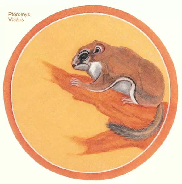 Papīrs, olas tempera. 2009
