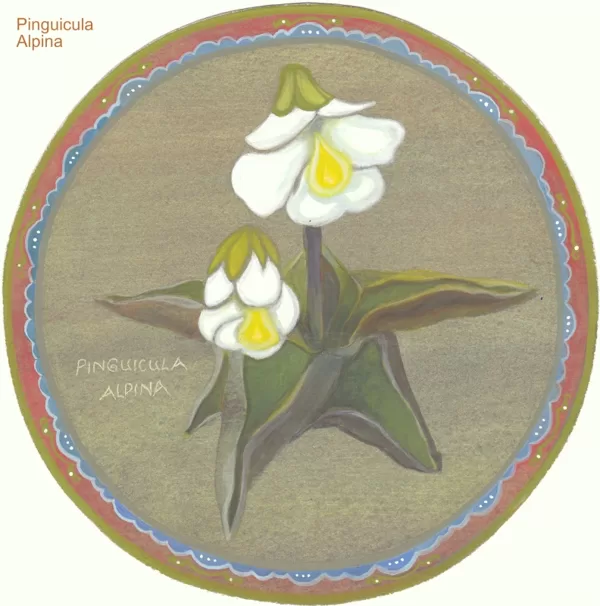 Papīrs, olas tempera. 2009