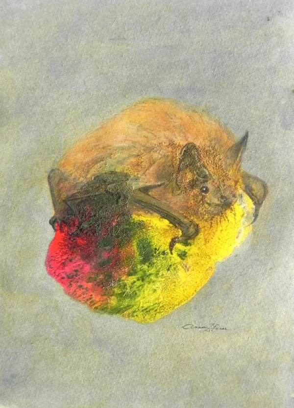Natūza sikspārnis. Pipistrellus nathusii L. Monotipija, olas tempera, zelts. 14,5x10cm. 20