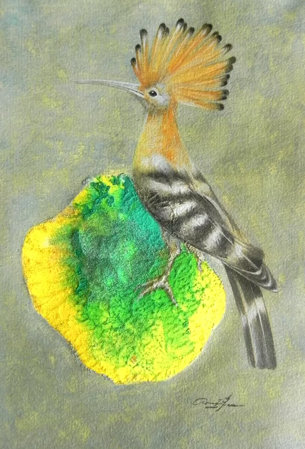 Pupuķis. Upupa epops L. Monotipija, olas tempera, zelts. 19x12,2cm. 2024