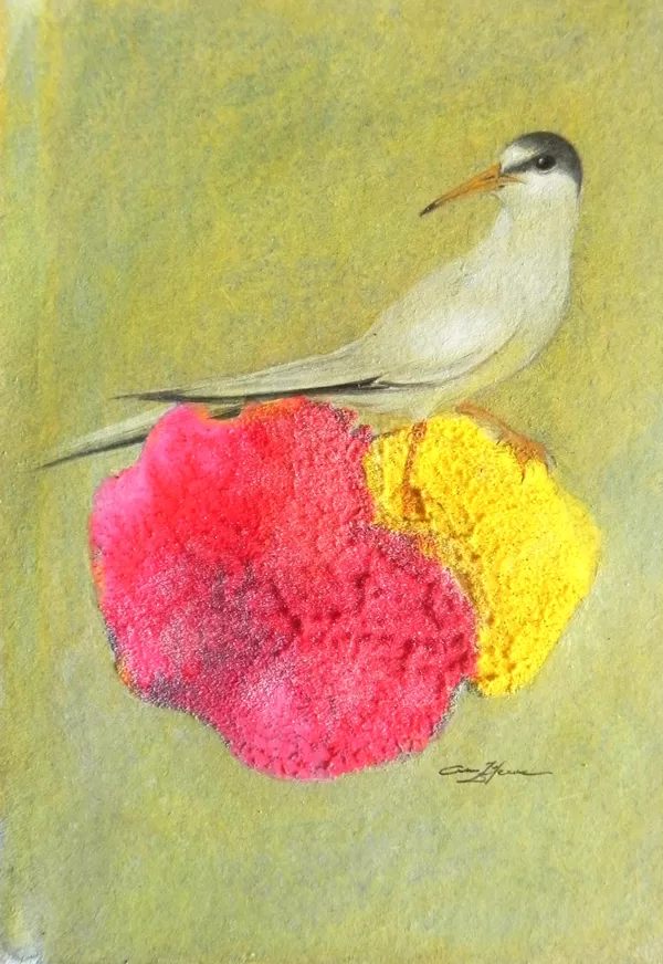 Mazais zīriņš. Sterna albifrons Pall L. Monotipija, olas tempera, zelts. 14,5x10cm. 2024