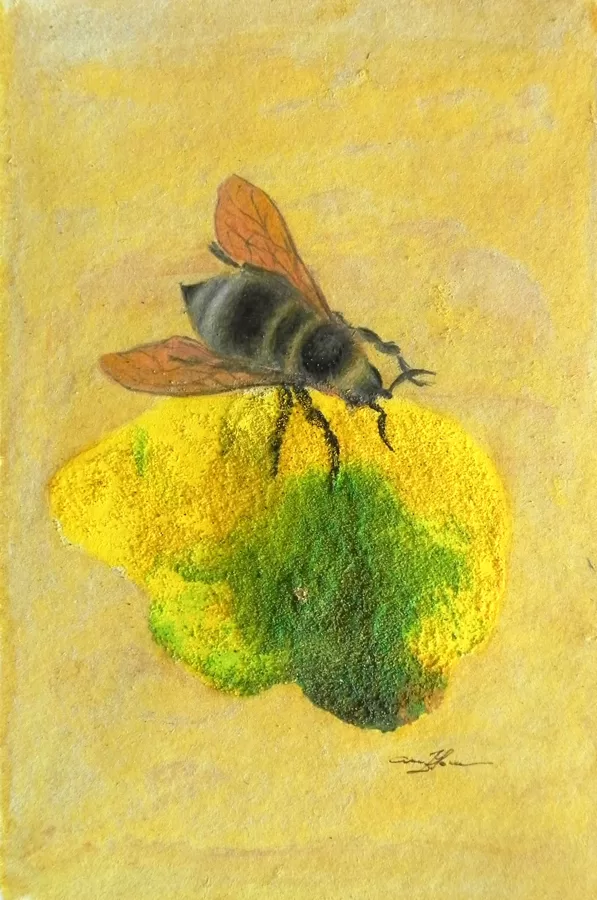 Lielacu kamene. Bombus confusus L. Monotipija, olas tempera, zelts. 14,5x9,8cm. 2024.