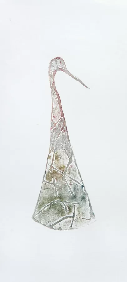 "Not a bird...". Colography. 2007