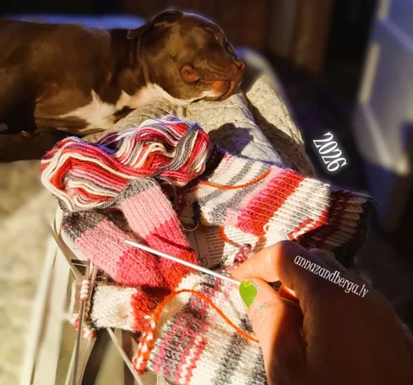 Evening peace and knitting. Mittens...