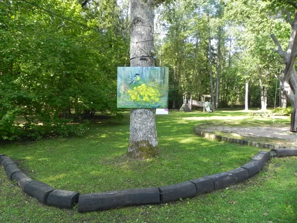 In Ķemeri, Meža Māja, until October 6, 2024