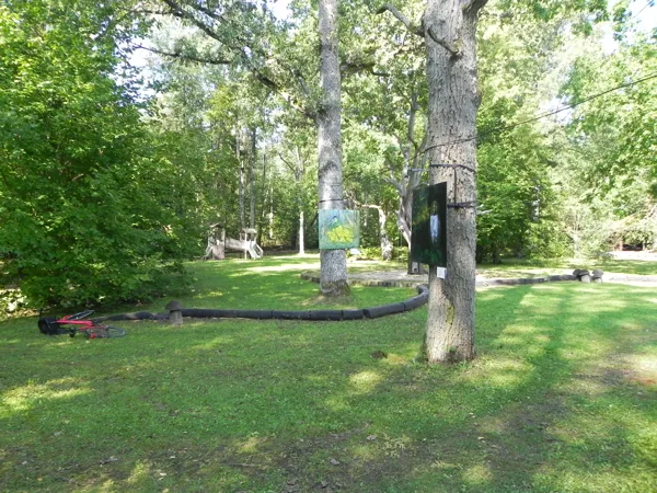 In Ķemeri, Meža Māja
