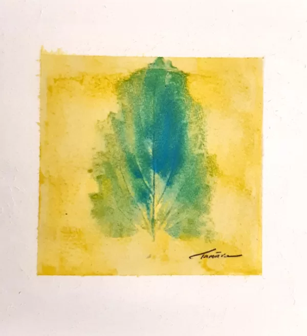 27.06.25.